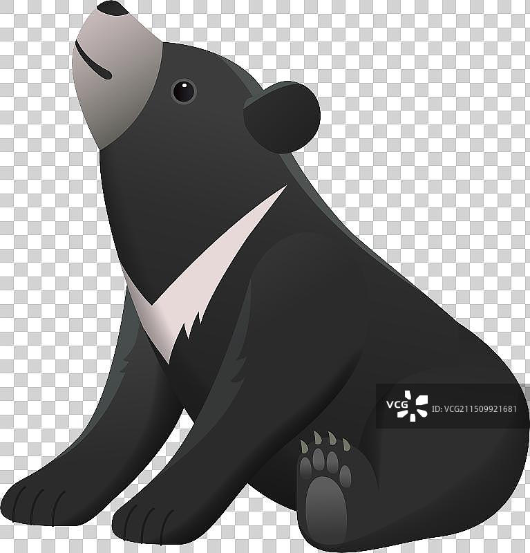 台湾黑熊幼崽图片素材