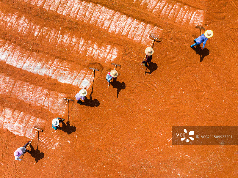 晒场彩绘— 2024年7月21日四川省宜宾市南溪区仙临镇高新村五粮液专用粮基地的村民正在晾晒红高粱。图片素材