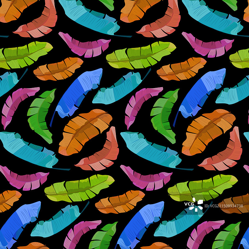 彩色棕榈叶图案图片素材