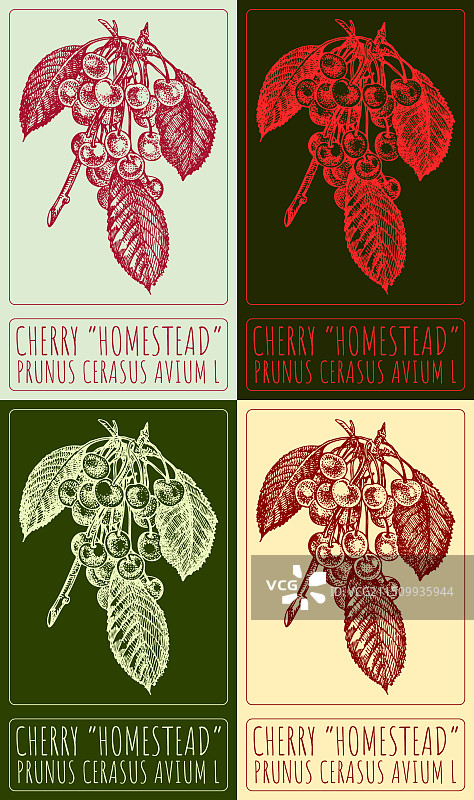 各种樱桃家园绘画合集图片素材