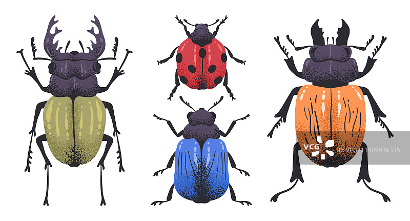 手绘野生可爱甲虫昆虫图片素材