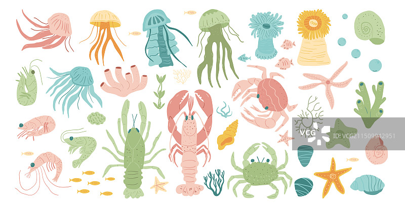 白色背景上的水下生物集合图片素材
