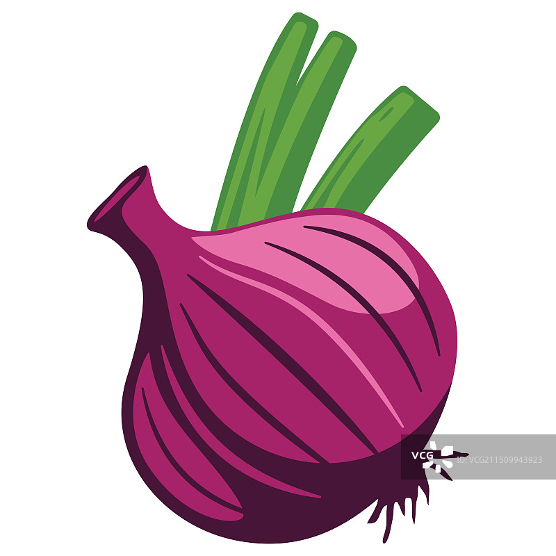 新鲜红色洋葱食品设计图片素材