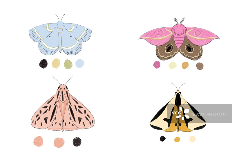 大自然配色参考图片素材