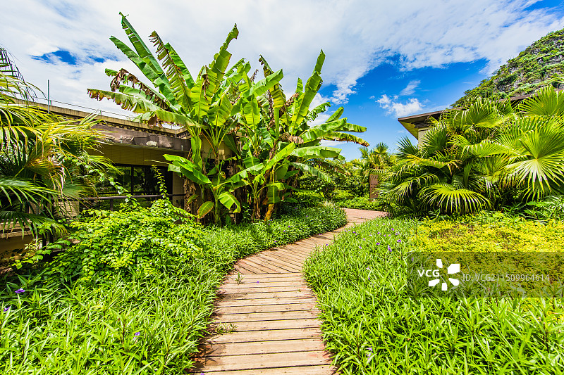 城市社区的园林绿化图片素材