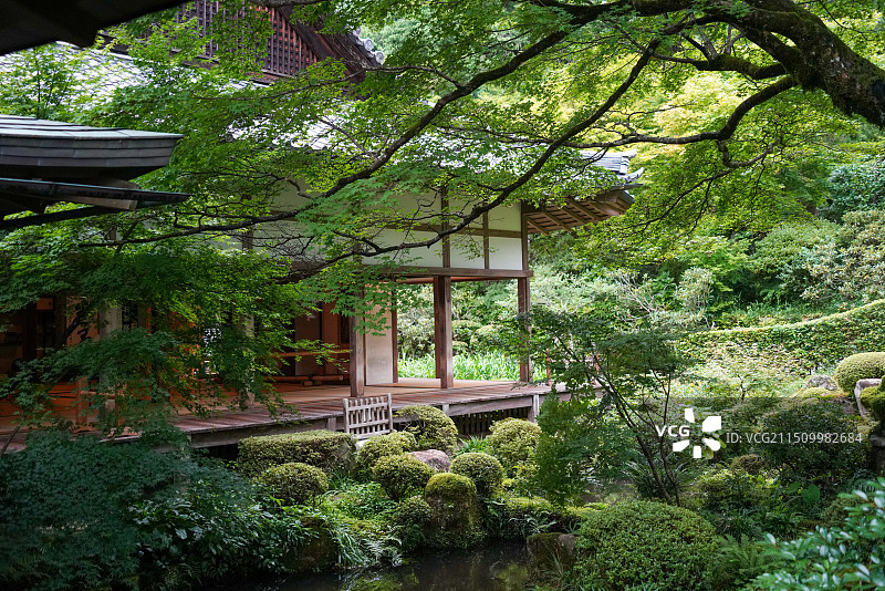 京都三千院园林风景图片素材