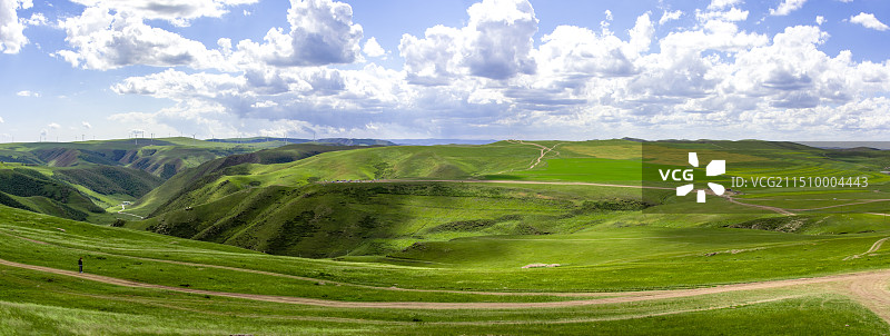 大草原全景图片素材