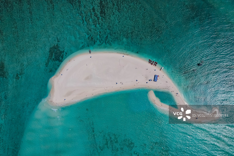 藏匿在西沙群岛中的小“海豚”图片素材