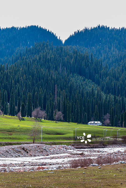 新疆库尔德宁风景区图片素材