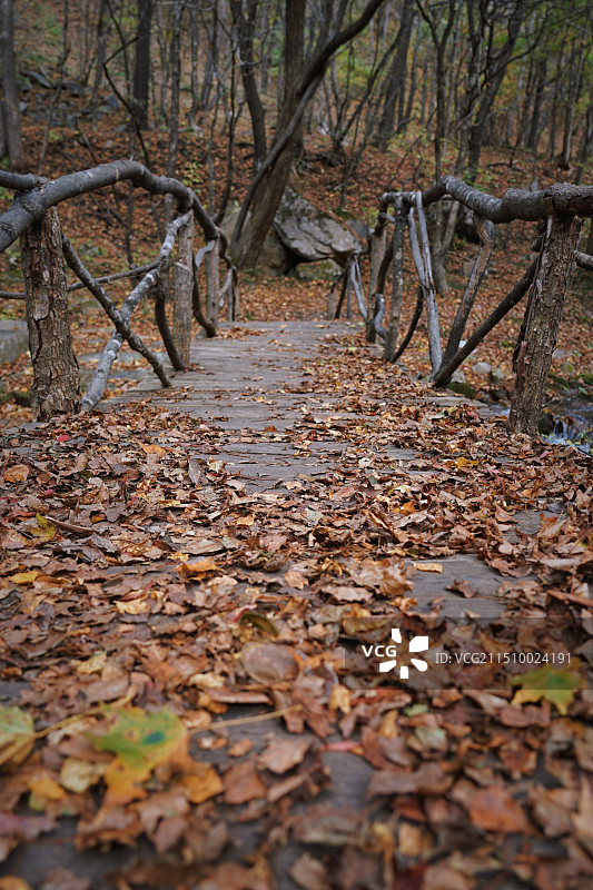 蛟河鹿角沟 小石桥 秋天图片素材