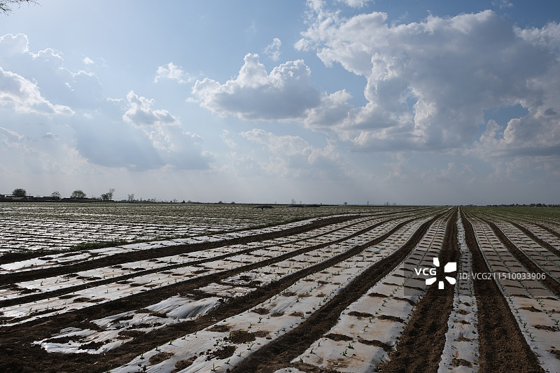 关中农村图片素材