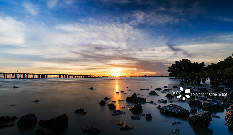深圳西湾红树林公园图片素材