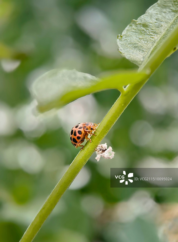 你是谁？图片素材