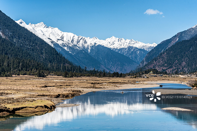 西藏林芝原始森林雪山山谷风光 巴松措与新措图片素材
