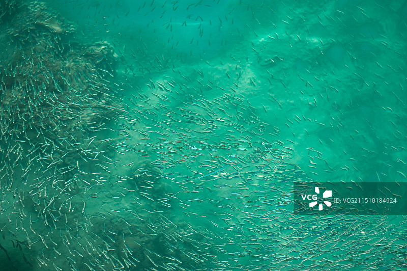 马来西亚水上清真寺 仙本那卡帕莱图片素材