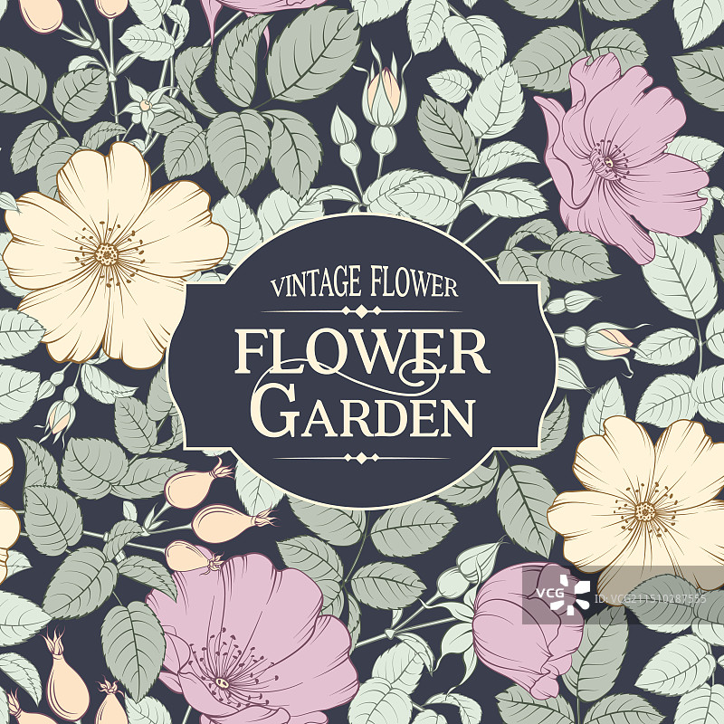 背景书本上的花卉复古卡片图片素材