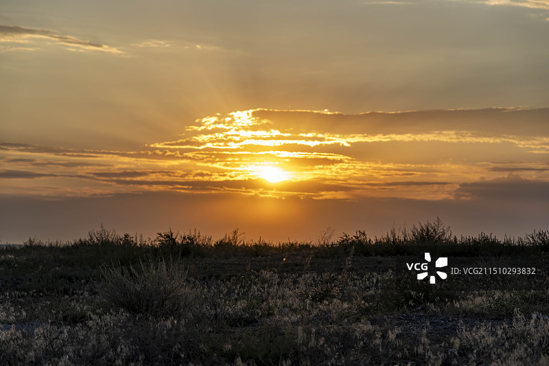 枯草与朝霞图片素材