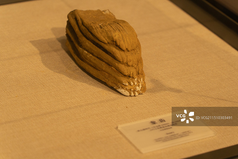 兴安灵渠博物馆 象齿图片素材