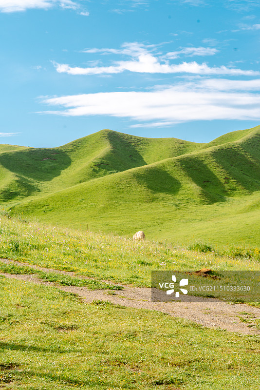 甘南藏族自治州夏河桑科草原牧场民宿风光图片素材