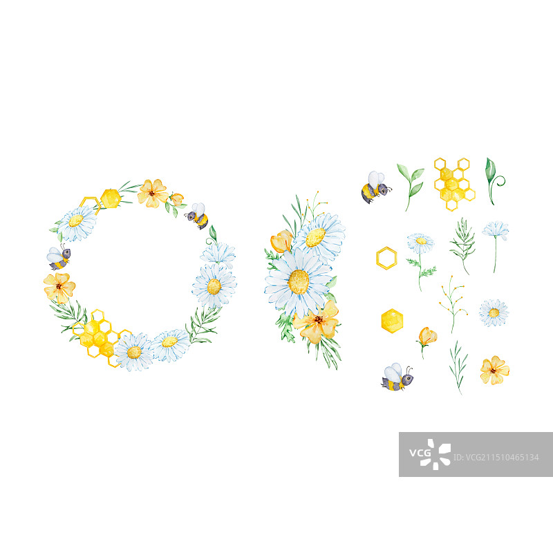 水彩花卉框架与蜜蜂蜂巢雏菊图片素材