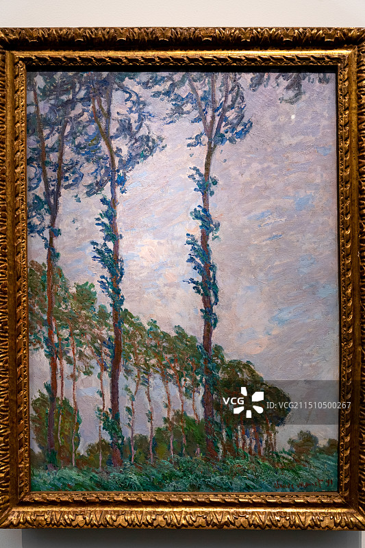 阿联酋阿布扎比卢浮宫重要文物藏品——1891年法国画家克劳德·莫奈帆布油画《白杨树：风的效应》图片素材