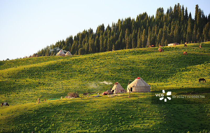 新疆伊犁特克斯喀拉峻草原牧场图片素材