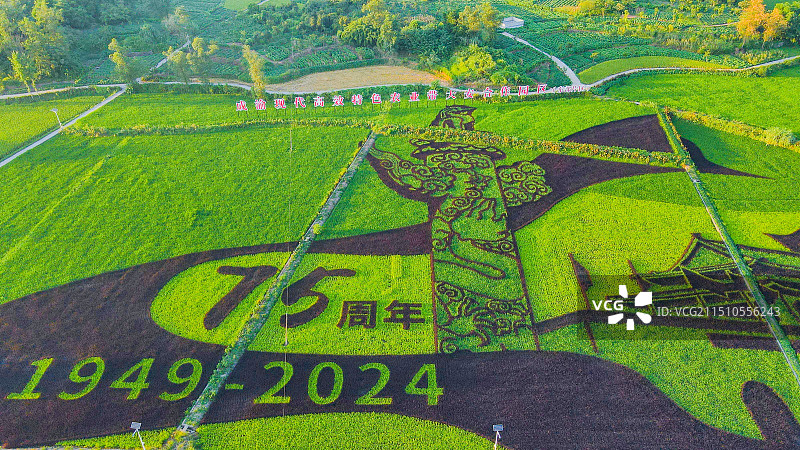 重庆大足区五彩稻田图片素材