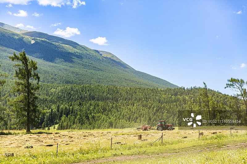 新疆阿勒泰一辆耕地除草的农机农场树林图片素材