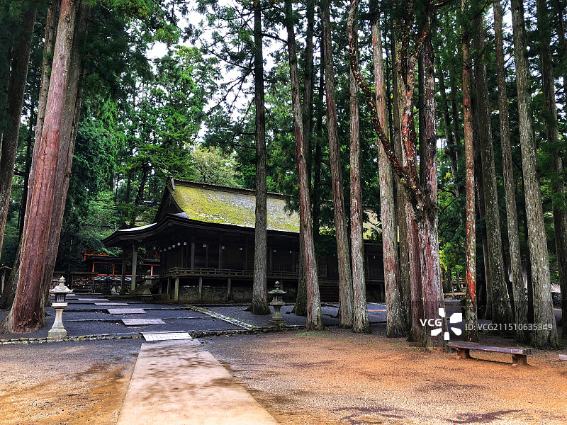 日本和歌山县高野山秋景色图片素材