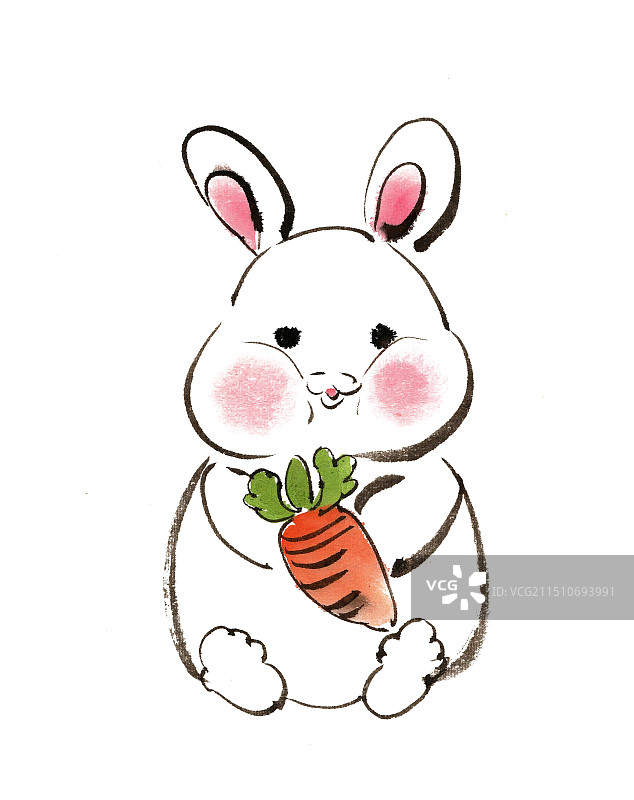 可爱的生肖兔图片素材