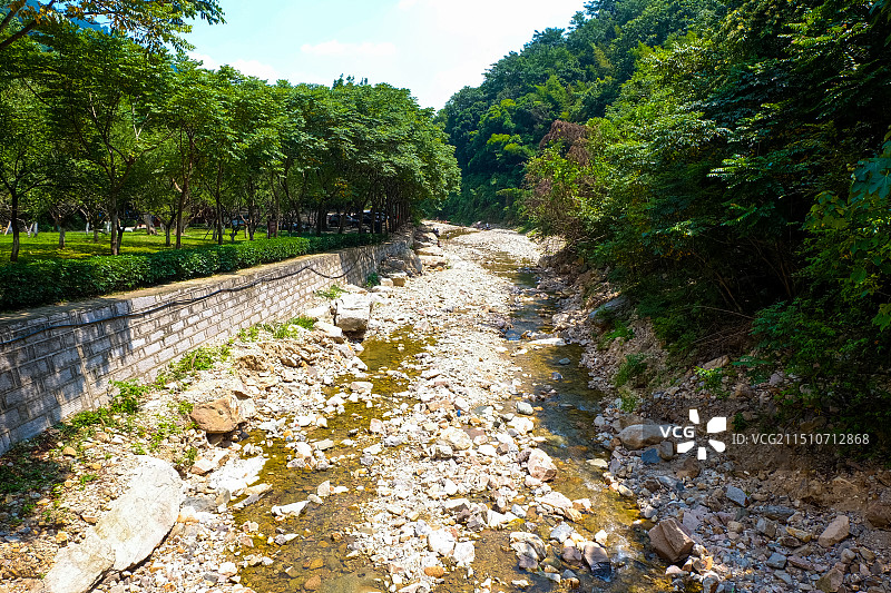 森林公园图片素材