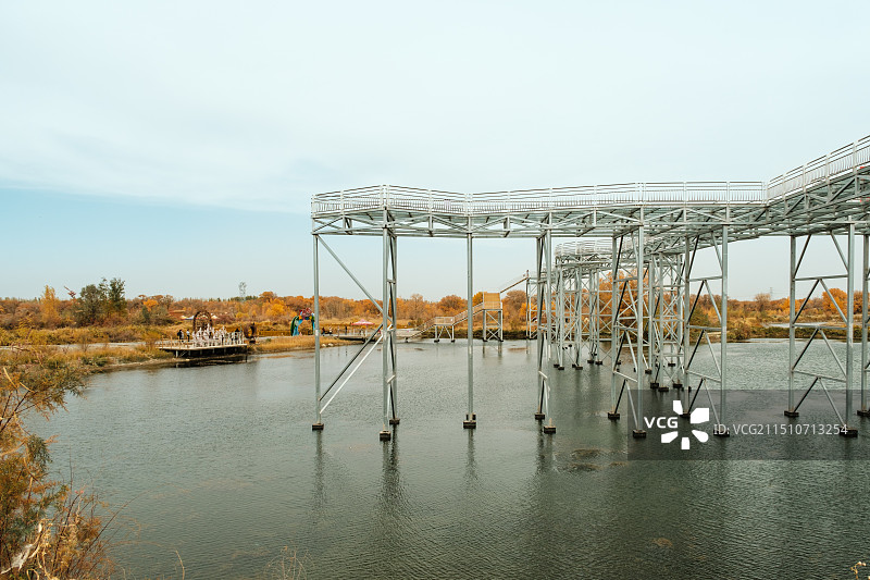 新疆金湖杨国家森林公园——观景台图片素材