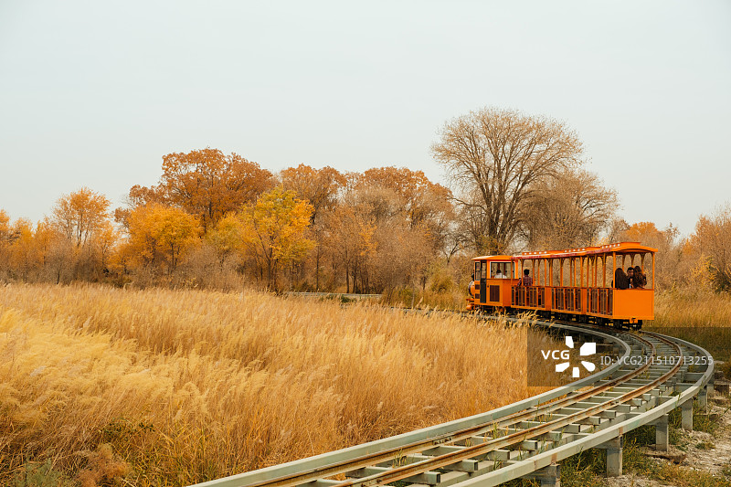 新疆金湖杨国家森林公园——观光小火车图片素材