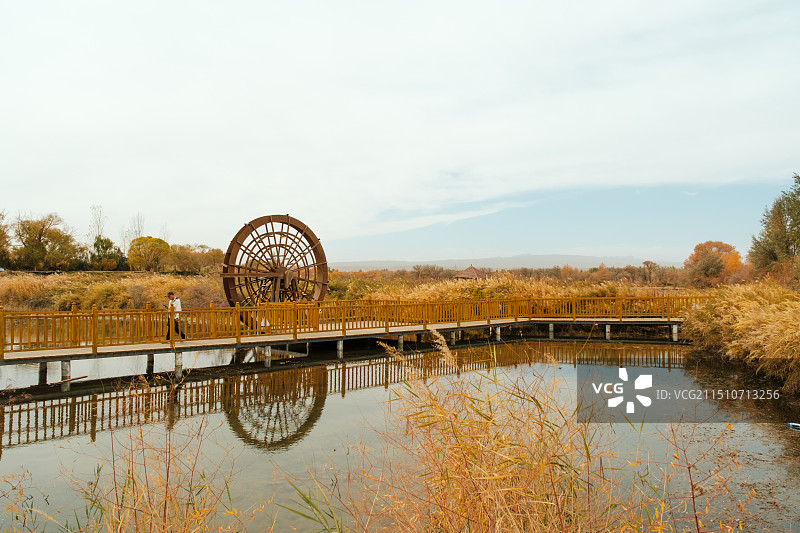 新疆金湖杨国家森林公园——栈桥与水车图片素材