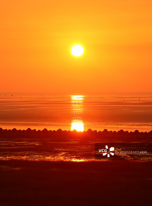 南汇嘴观海公园的朝阳图片素材