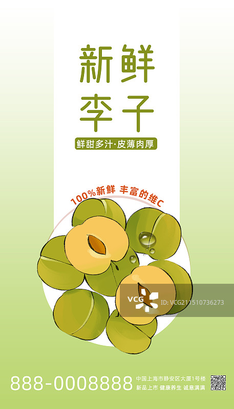李子-水果手绘插画海报通用模板图片素材