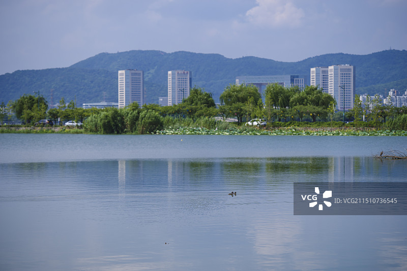 山清水秀的无锡图片素材