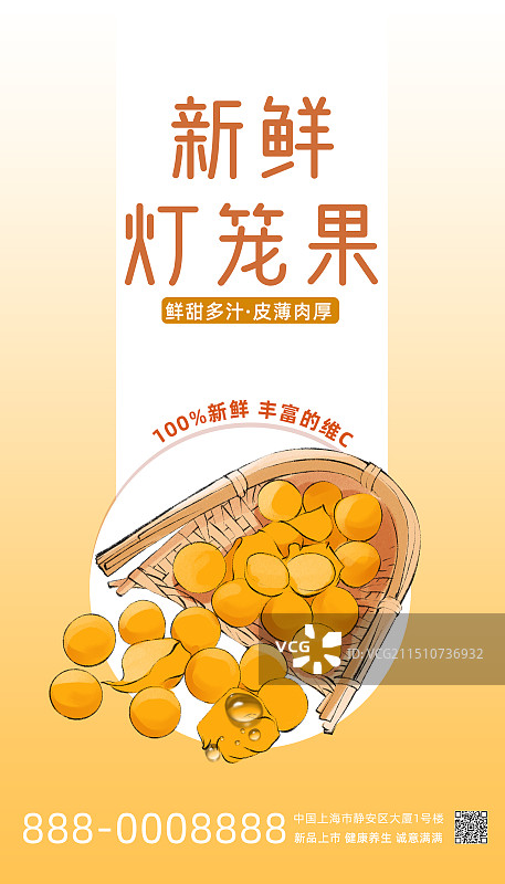 灯笼果-水果手绘插画海报通用模板图片素材