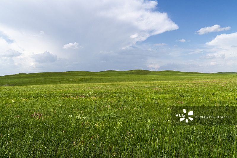 童话般的草原图片素材