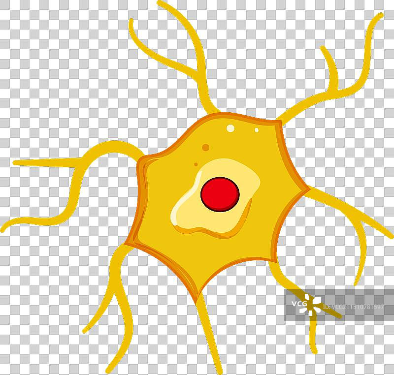 神经元系统卡通图片素材