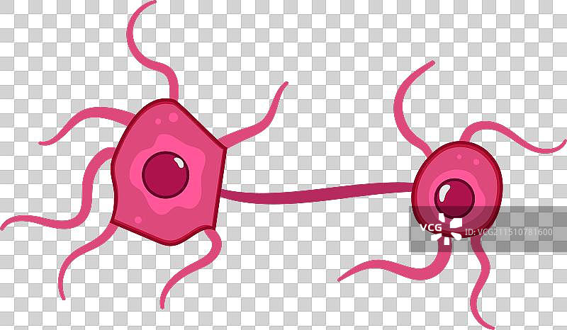 卡通脑神经元图片素材