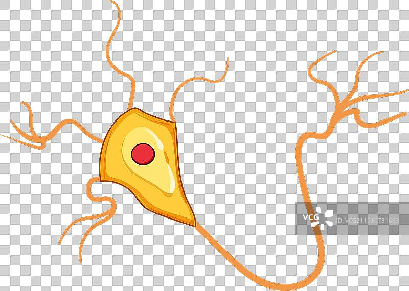 神经元卡通解剖图片素材