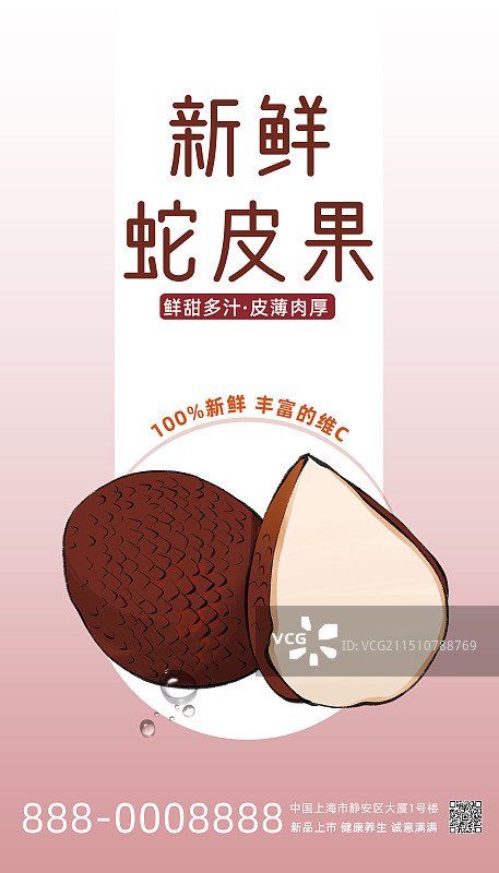 蛇皮果-水果手绘插画促销海报通用模板图片素材