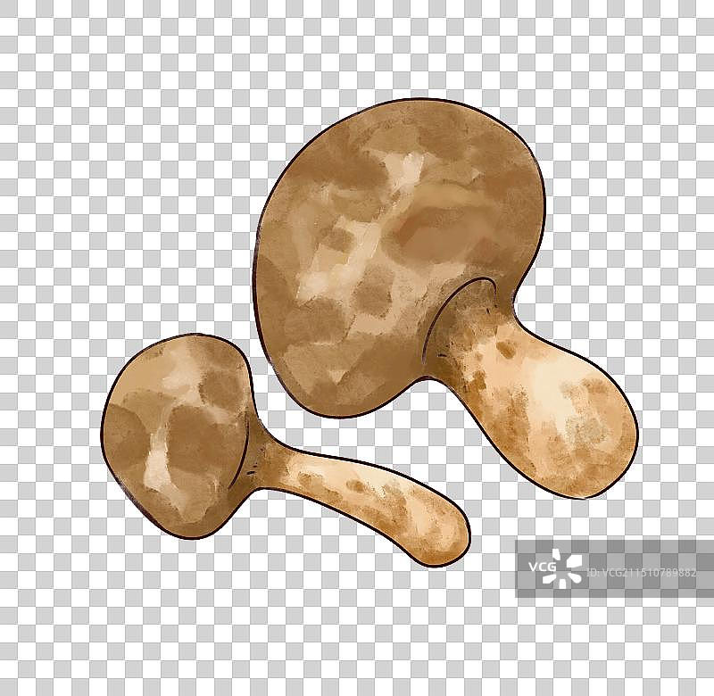 云南食材松茸菌手绘插画元素图片素材