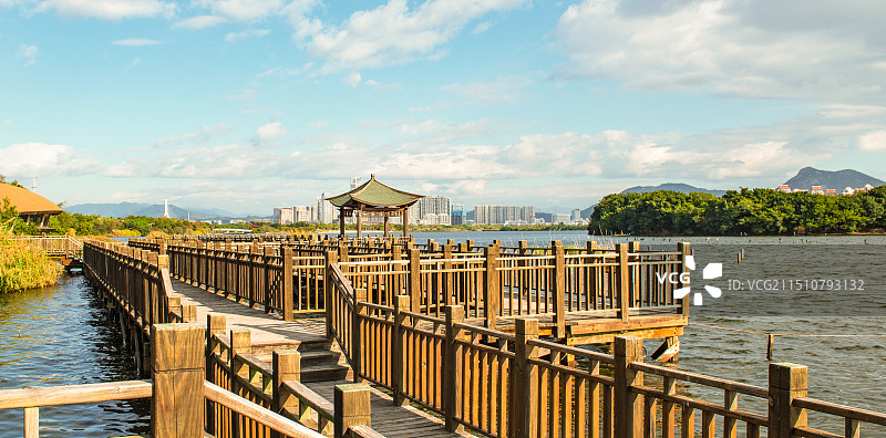 湖边的栈道  厦门园博苑杏林湾  厦门园林博览苑 木板路栈道图片素材