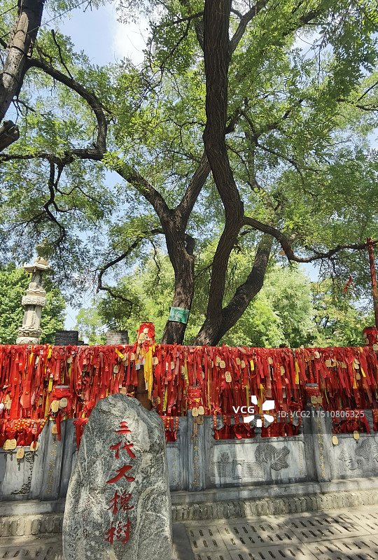 山西临汾洪洞大槐树寻根祭祖园旅游景区图片素材
