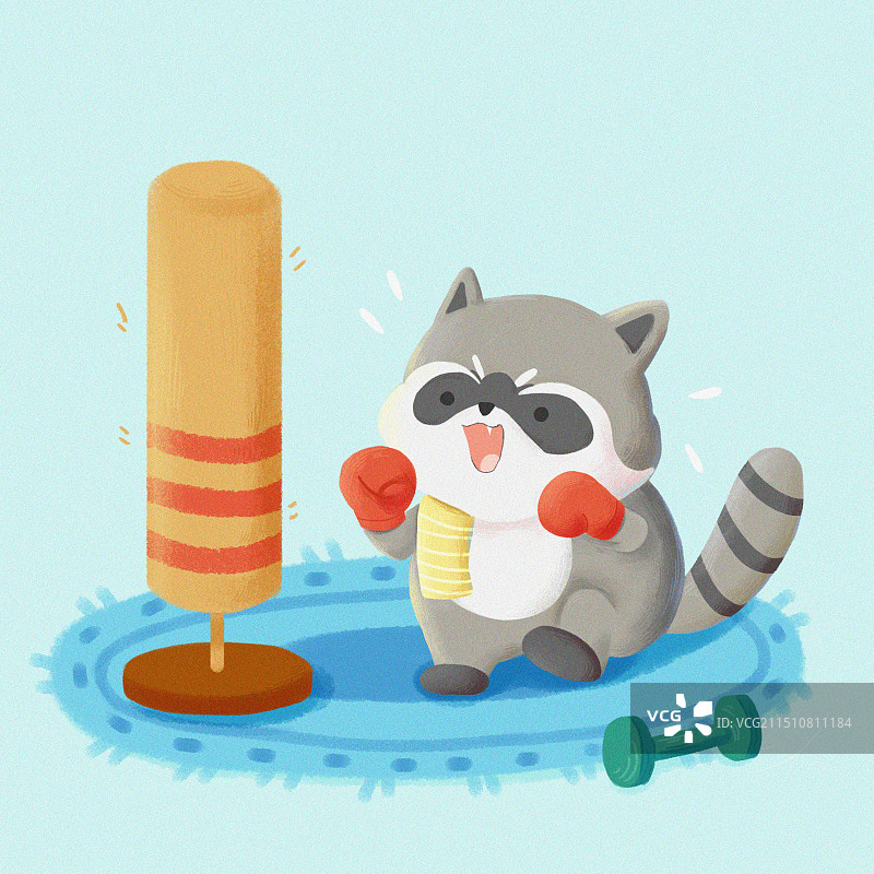 拳击小浣熊图片素材