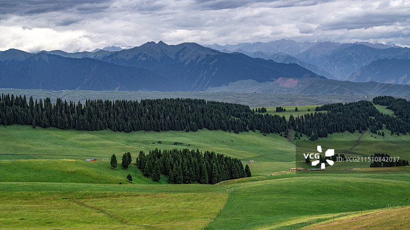 新疆伊犁草原风光图片素材