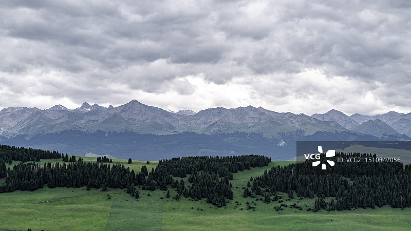 新疆伊犁草原风光图片素材