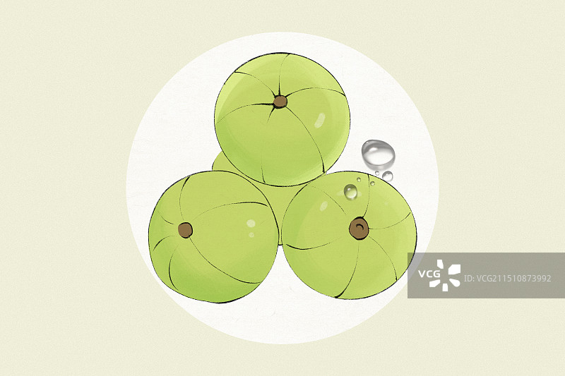 油柑-水果促销电商包装手绘插画图片素材